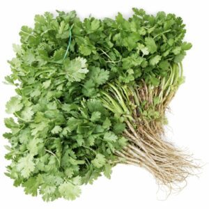 Cilantro | Unidad