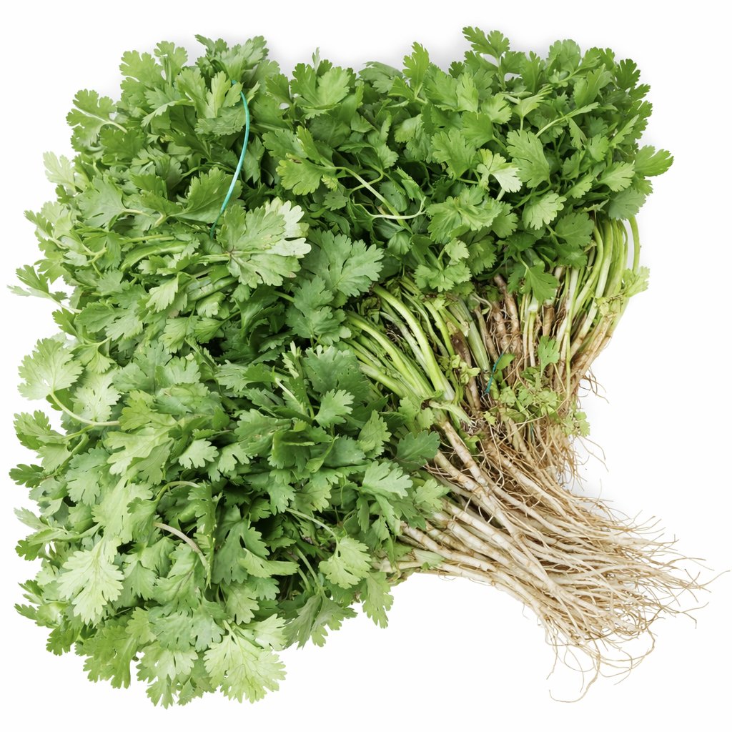 Cilantro | Unidad