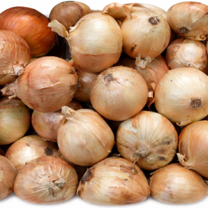 Cebolla blanca | 1 Kg