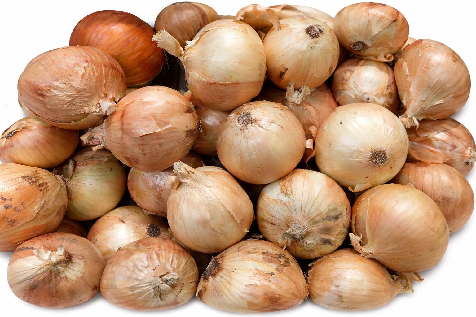 Cebolla blanca | 1 Kg