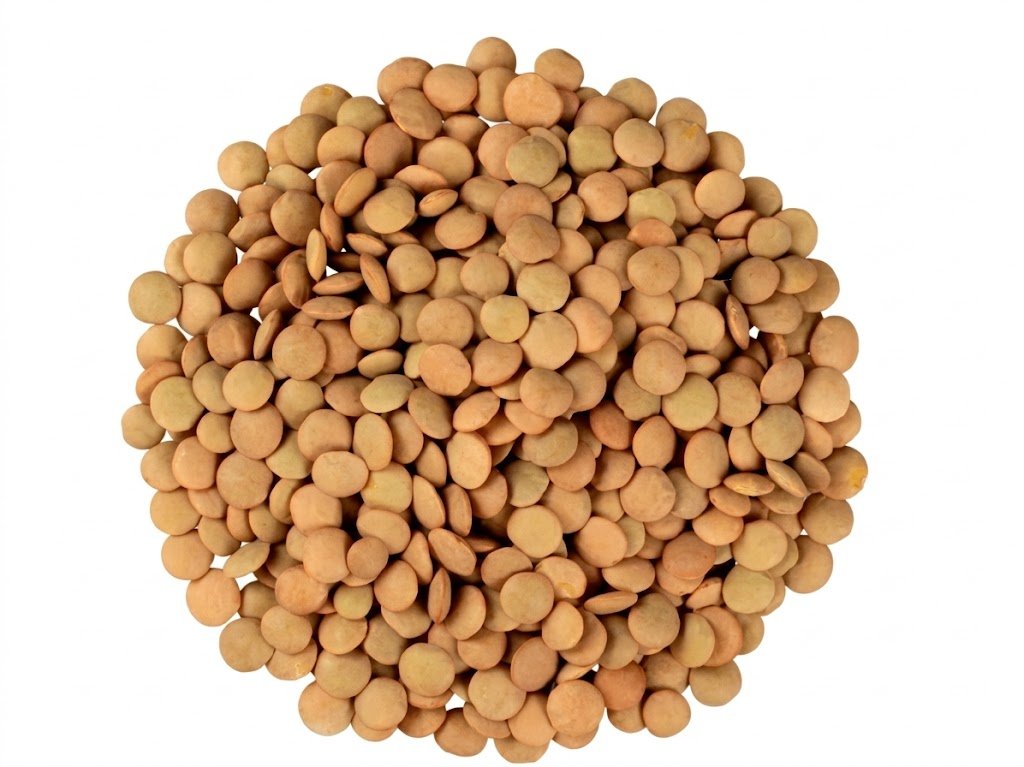 Lentejas | 1 Kg