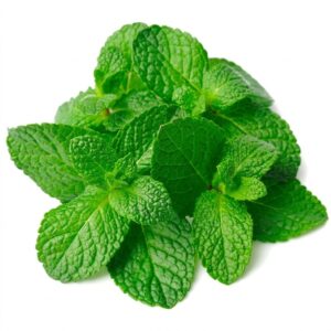 Menta | 120 gr
